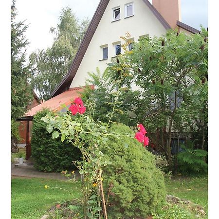Apartament Lesny Supraśl المظهر الخارجي الصورة